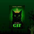 The Symbolism of Black Cats